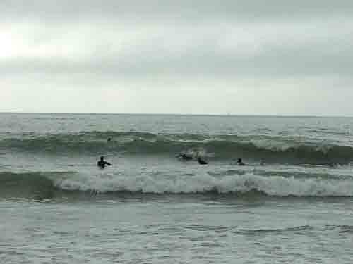 Gulf Coast Surf