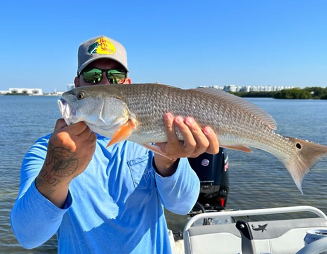 https://www.gulfster.com/Daily/fish-of-the-week-033123.jpg